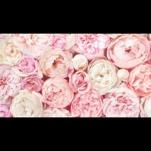 Meet your Posher, Simone